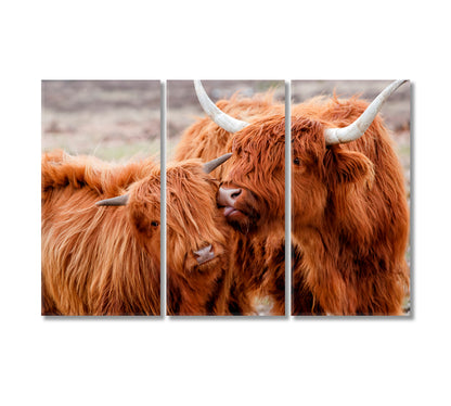 Highland Cow Family Art For Home-Canvas Print-CetArt-3 Panels-36x24 inches-CetArt