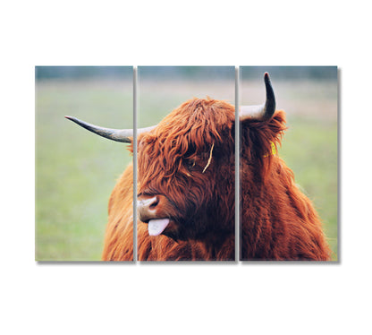 Cute Highland Cow Home Art Decor-Canvas Print-CetArt-3 Panels-36x24 inches-CetArt