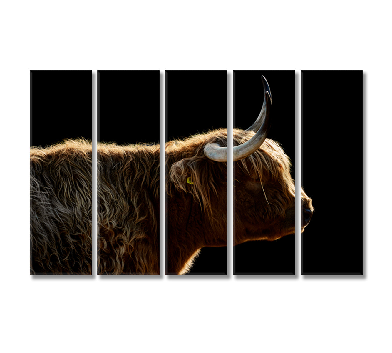 Highland Cow Art Wall Decor-Canvas Print-CetArt-5 Panels-36x24 inches-CetArt