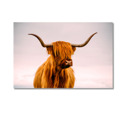 Highland Cow in Sunset Giclee Print-Canvas Print-CetArt-1 Panel-24x16 inches-CetArt
