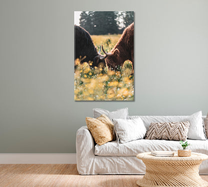 Highland Cows Canvas Print-Canvas Print-CetArt-1 panel-16x24 inches-CetArt