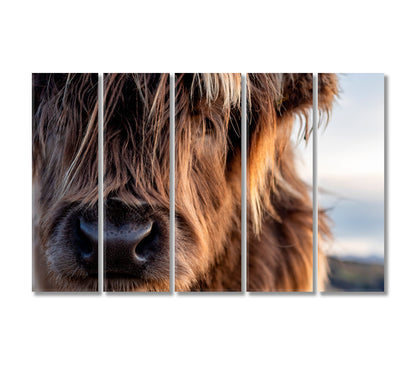 Scotland Highland Cows Canvas for Wall Decoration-Canvas Print-CetArt-5 Panels-36x24 inches-CetArt