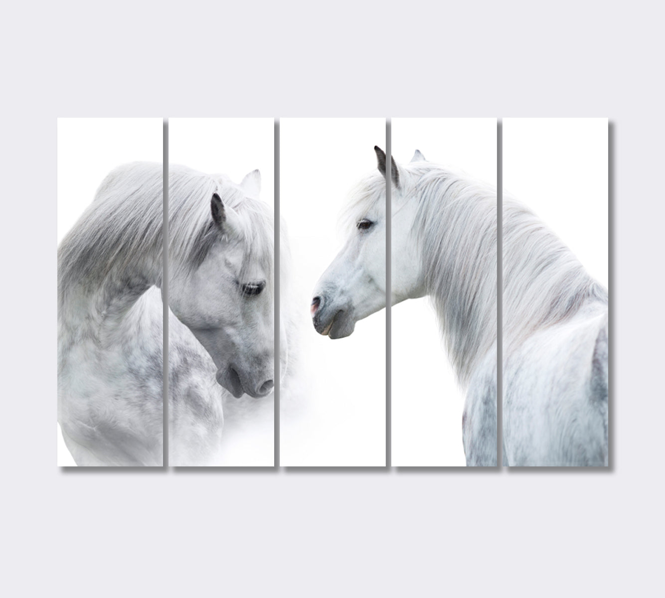 White Horses Portrait Giclee Print-Canvas Print-CetArt-5 Panels-36x24 inches-CetArt