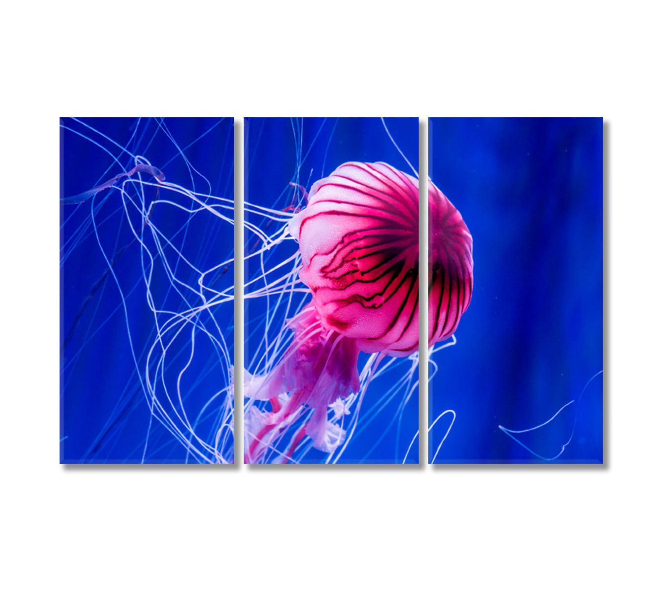 Beautiful Jellyfish Art For Home Decor-Canvas Print-CetArt-3 Panels-36x24 inches-CetArt