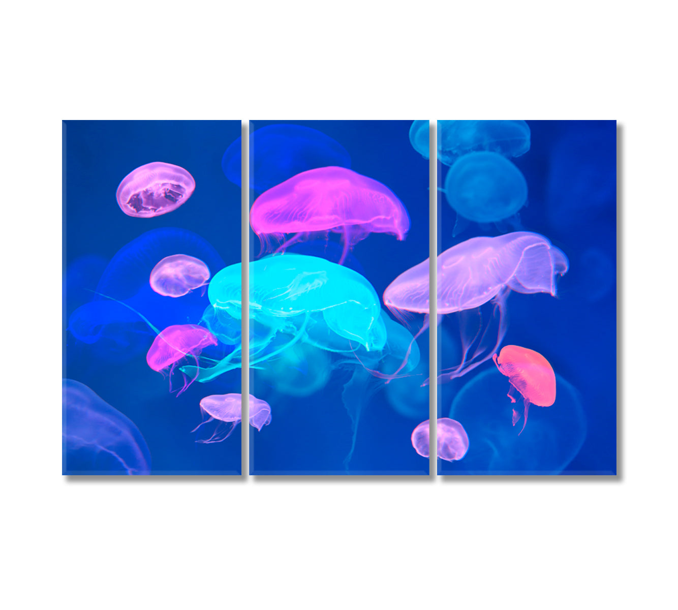Colorful Jellyfish Canvas Wall Decor-Canvas Print-CetArt-3 Panels-36x24 inches-CetArt