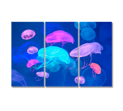 Colorful Jellyfish Canvas Wall Decor-Canvas Print-CetArt-3 Panels-36x24 inches-CetArt