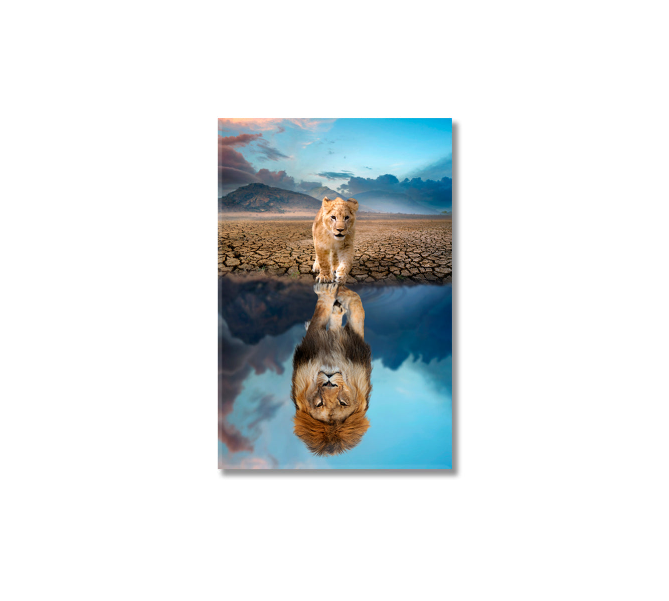 Lion Reflection Art for Living Room-Canvas Print-CetArt-1 panel-16x24 inches-CetArt