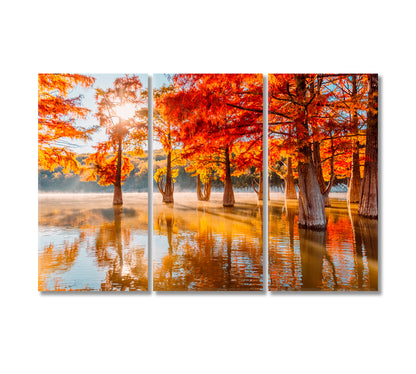 Cypress Trees in Lake Wall Art-Canvas Print-CetArt-3 Panels-36x24 inches-CetArt