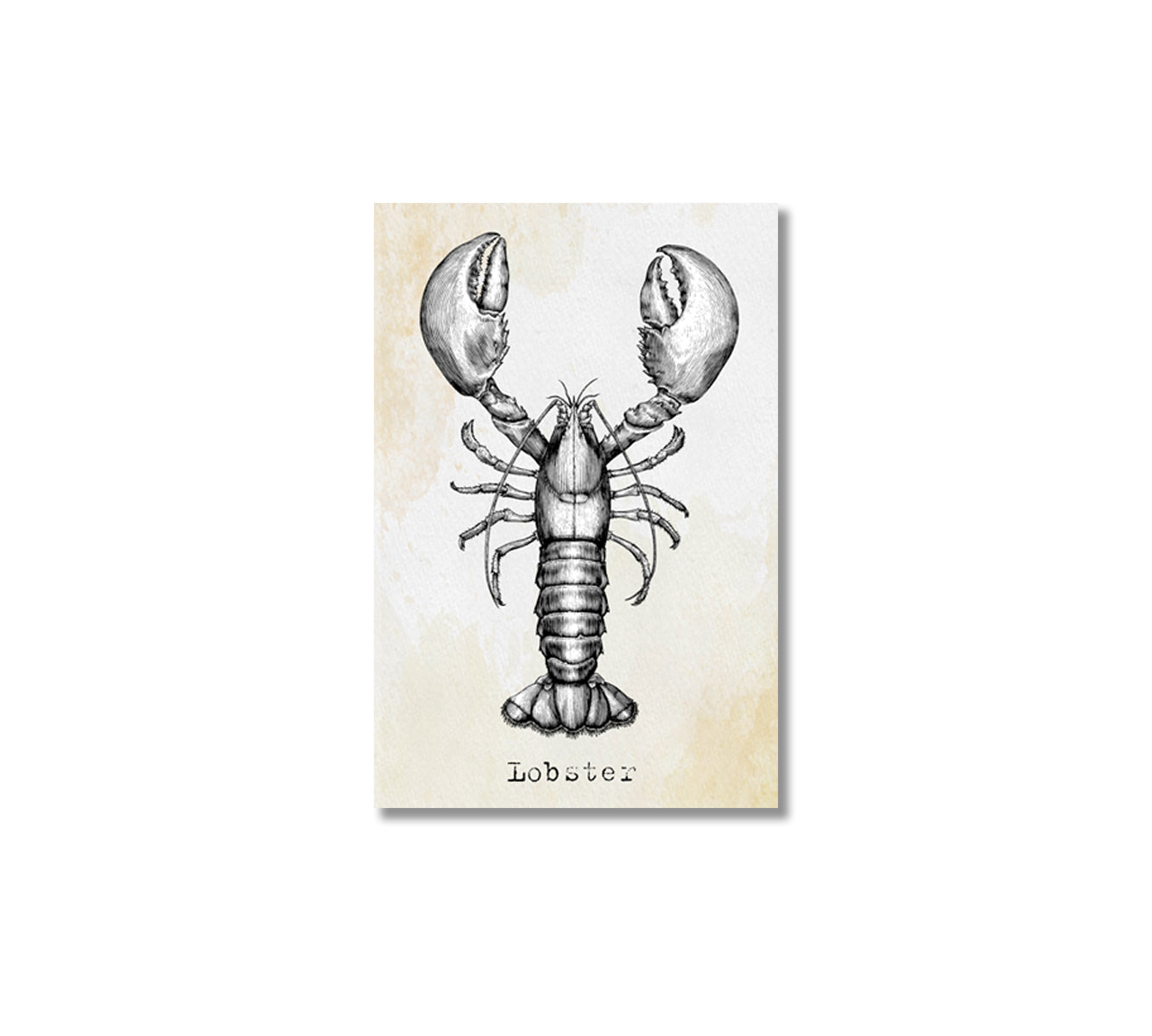 Vintage Lobster Canvas Art Decor-Canvas Print-CetArt-1 panel-16x24 inches-CetArt