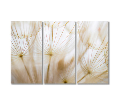 Beige Dandelion Canvas Art Decor-Canvas Print-CetArt-3 Panels-36x24 inches-CetArt