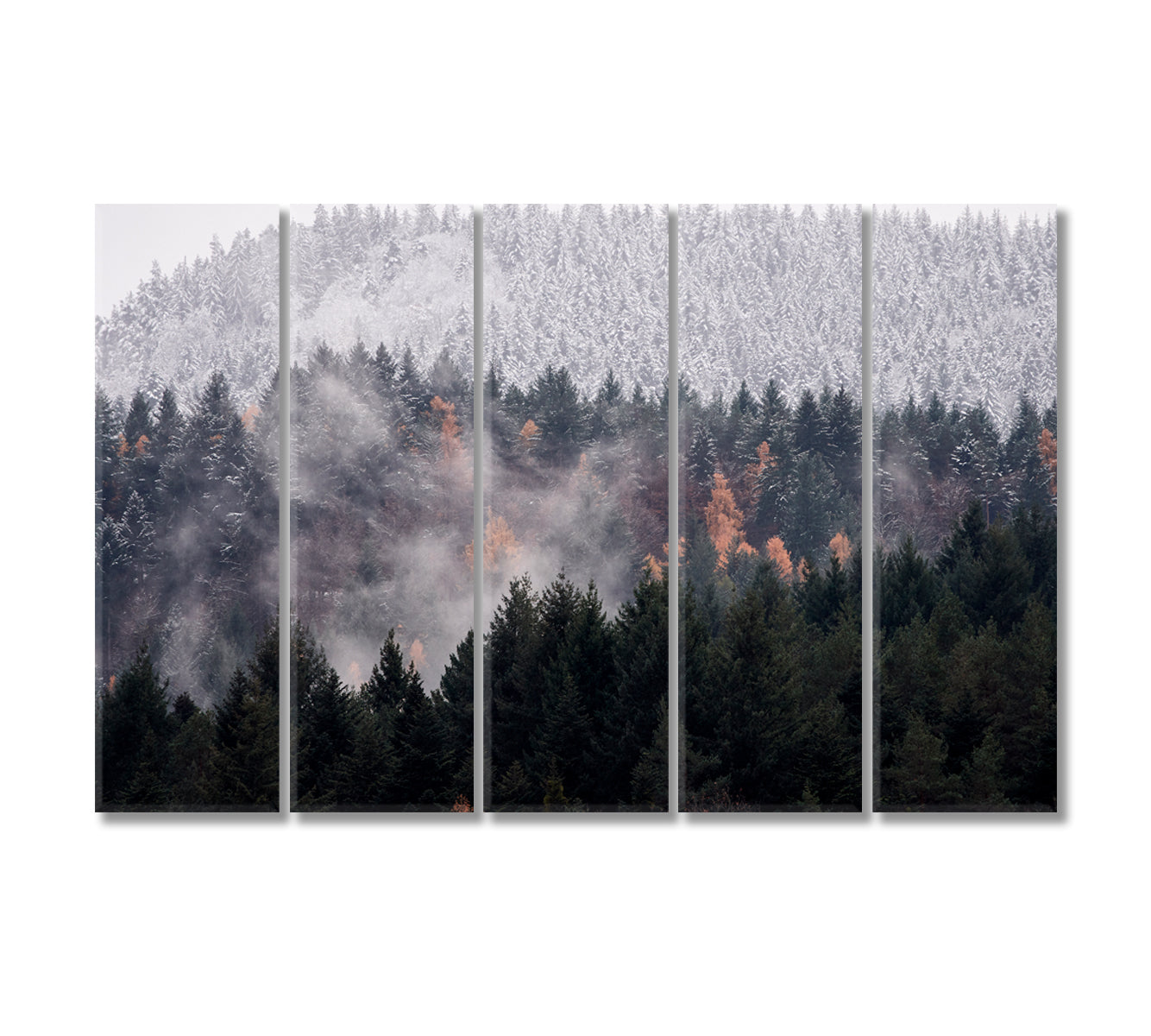 Black Forest Canvas for Wall Decoration-Canvas Print-CetArt-5 Panels-36x24 inches-CetArt