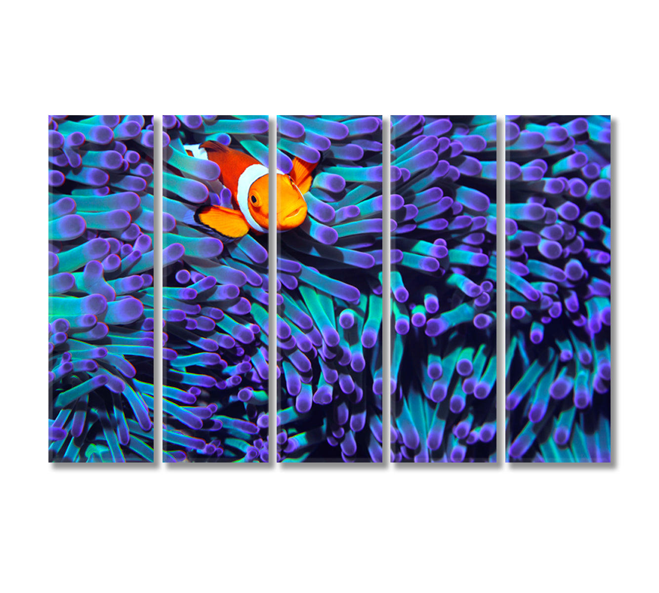 Anemonefish Canvas Print Wall Art-Canvas Print-CetArt-5 Panels-36x24 inches-CetArt