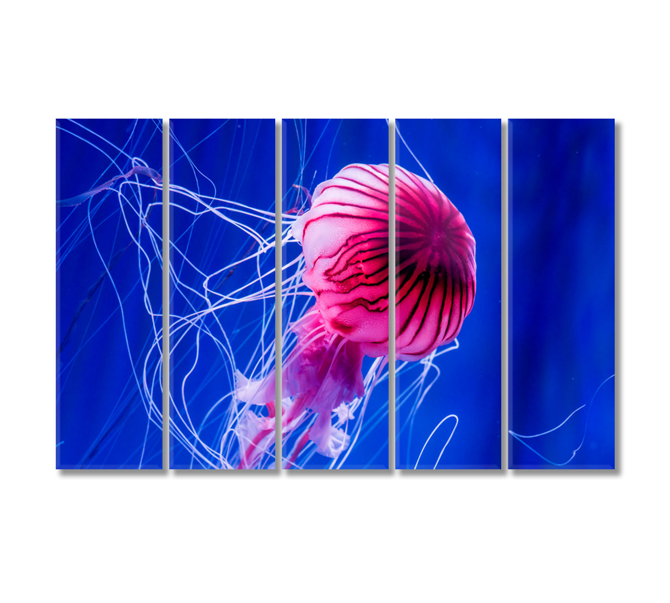 Beautiful Jellyfish Art For Home Decor-Canvas Print-CetArt-5 Panels-36x24 inches-CetArt
