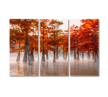Swamp Cypresses on Lake Canvas Print-Canvas Print-CetArt-3 Panels-36x24 inches-CetArt