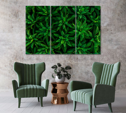 Palm Plantation Canvas Art Home Decor-Canvas Print-CetArt-1 Panel-24x16 inches-CetArt