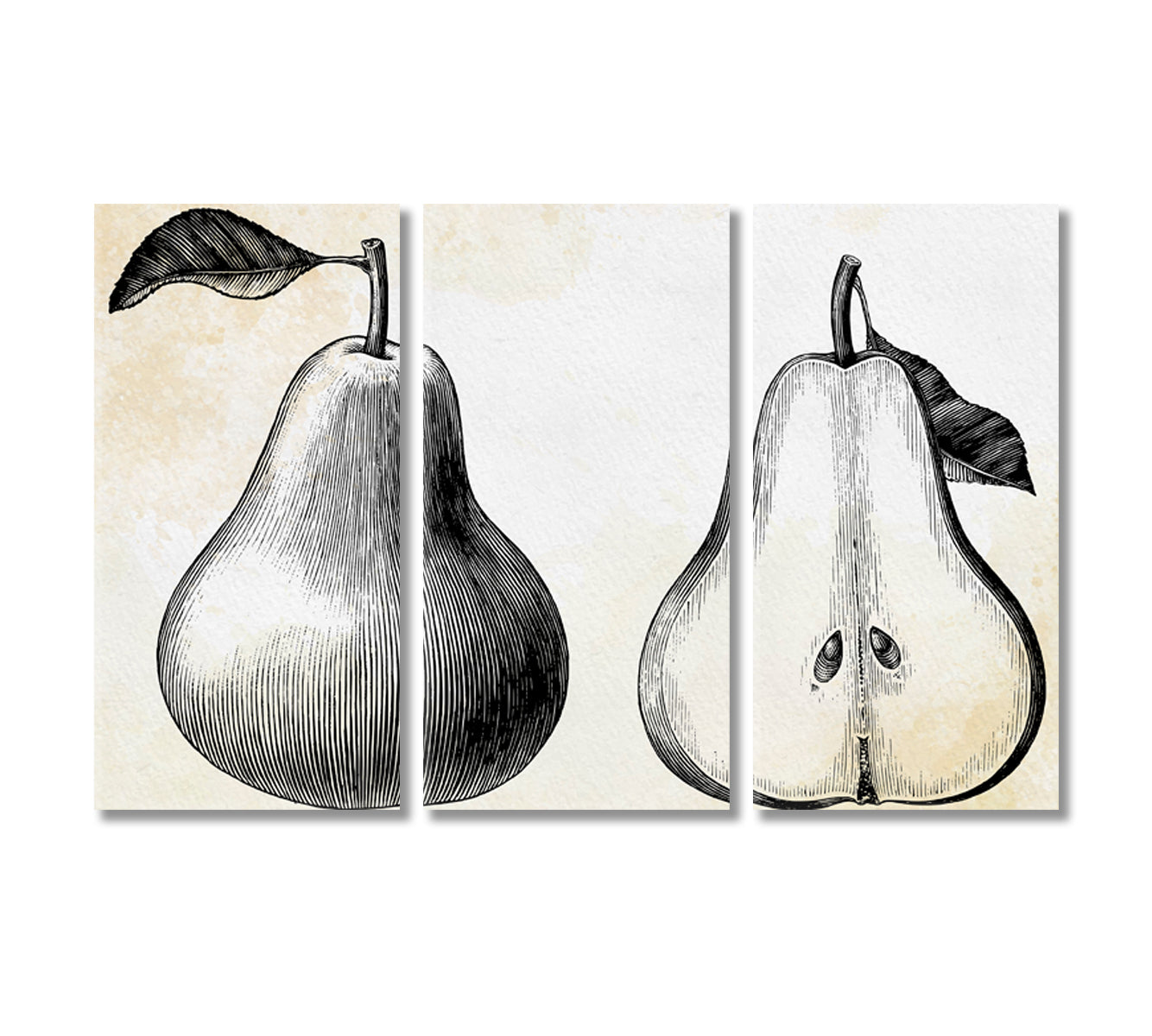 Pear Vintage Canvas Wall Art-Canvas Print-CetArt-3 Panels-36x24 inches-CetArt