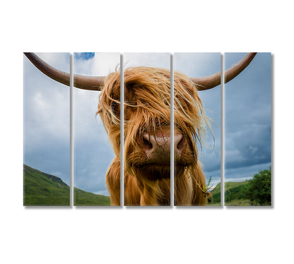 Beautiful Highland Cow Canvas Home Decor-Canvas Print-CetArt-5 Panels-36x24 inches-CetArt