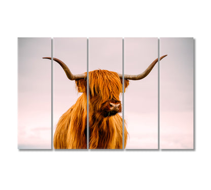 Highland Cow in Sunset Giclee Print-Canvas Print-CetArt-5 Panels-36x24 inches-CetArt