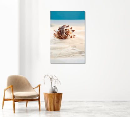 Beautiful Sea Shell Giclee Art Decor-Canvas Print-CetArt-1 panel-16x24 inches-CetArt