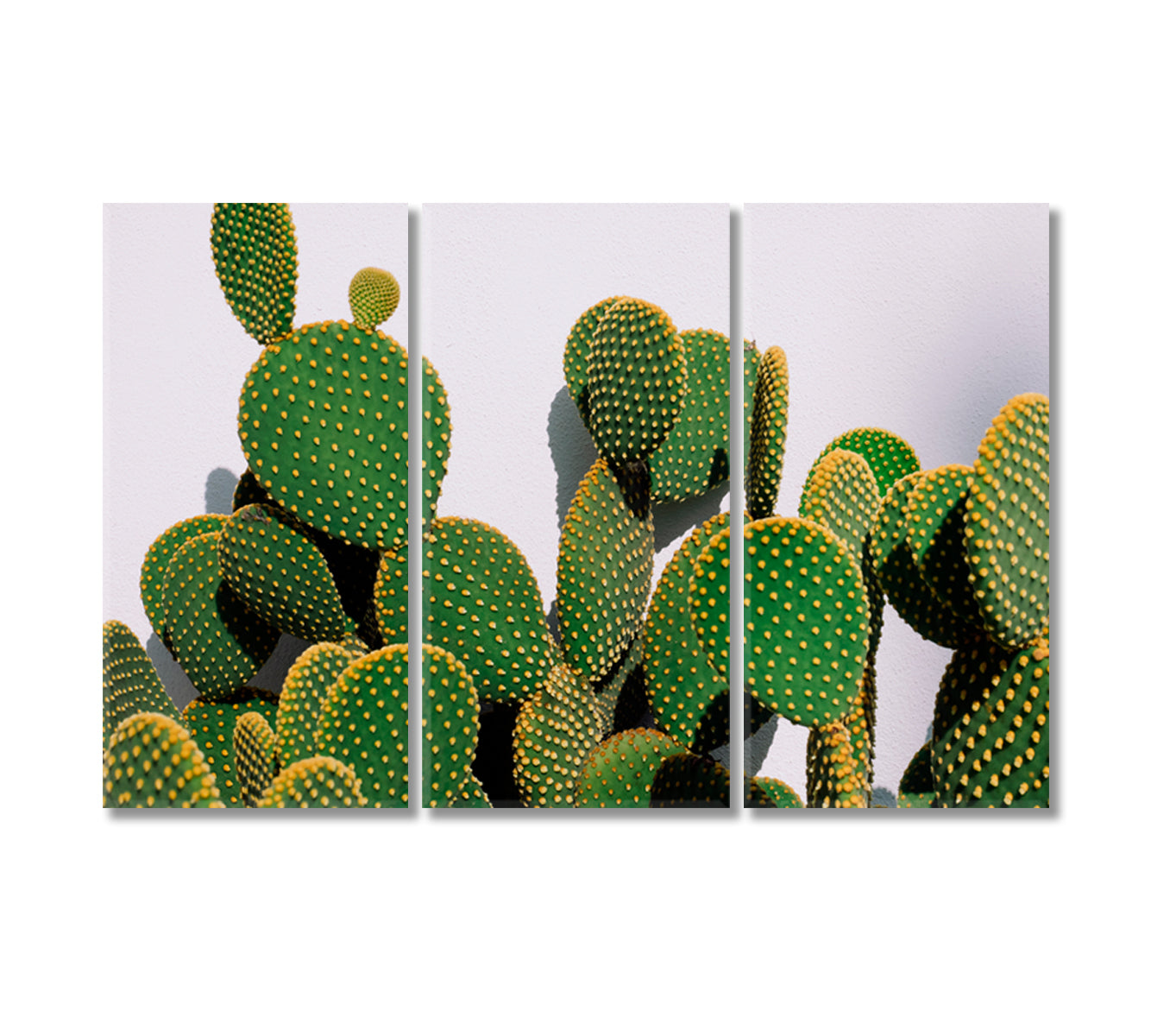 Bunny Ear Cactus Wall Decor Canvas-Canvas Print-CetArt-3 Panels-36x24 inches-CetArt