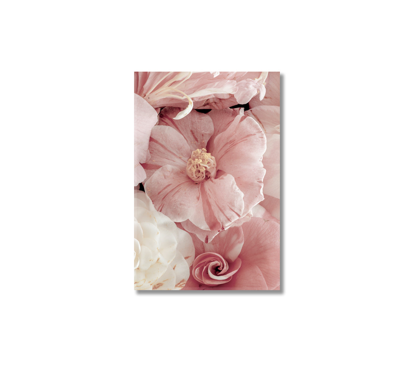 Tender Camellia Flowers Trendy Wall Decor-Canvas Print-CetArt-1 panel-16x24 inches-CetArt