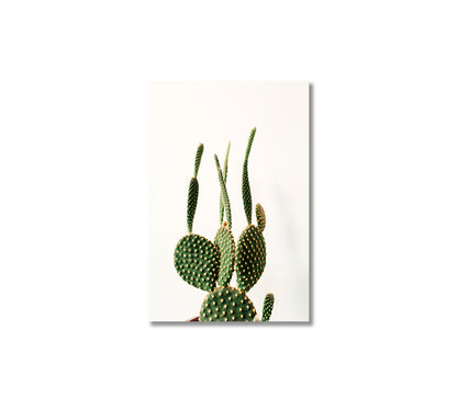 Succulent Cactus Canvas Print Wall Decoration-Canvas Print-CetArt-1 panel-16x24 inches-CetArt