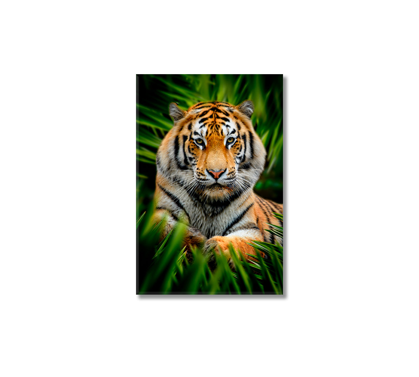 Tiger in Jungle Canvas Home Decor-Canvas Print-CetArt-1 panel-16x24 inches-CetArt