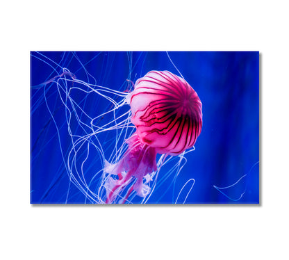 Beautiful Jellyfish Art For Home Decor-Canvas Print-CetArt-1 Panel-24x16 inches-CetArt