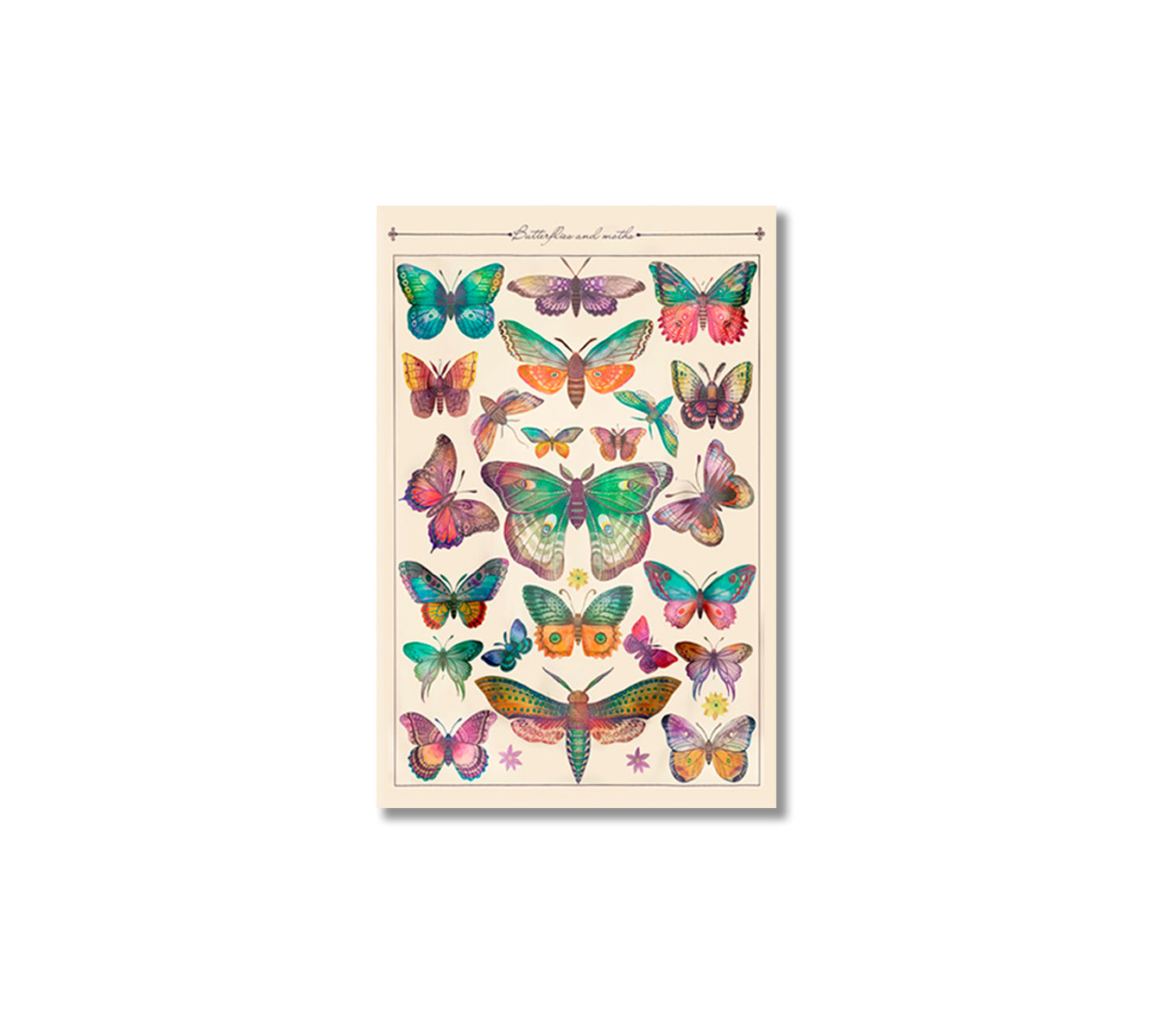 Vintage Butterfly Canvas Home Wall Art-Canvas Print-CetArt-1 panel-16x24 inches-CetArt