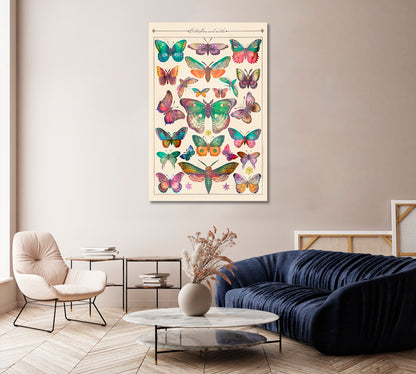 Vintage Butterfly Canvas Home Wall Art-Canvas Print-CetArt-1 panel-16x24 inches-CetArt