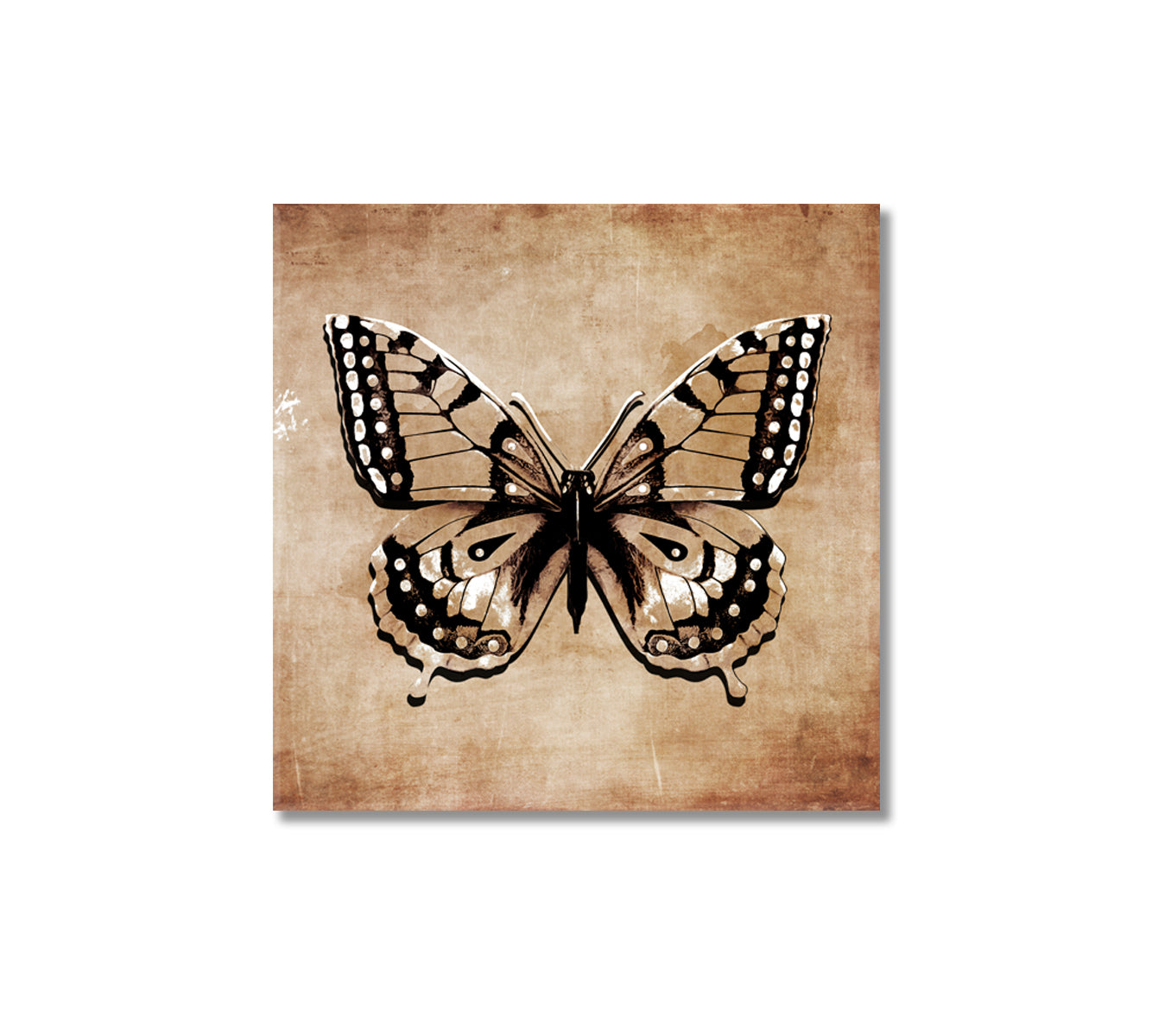 Vintage Abstract Butterfly Wall Art Canvas-Canvas Print-CetArt-1 panel-12x12 inches-CetArt