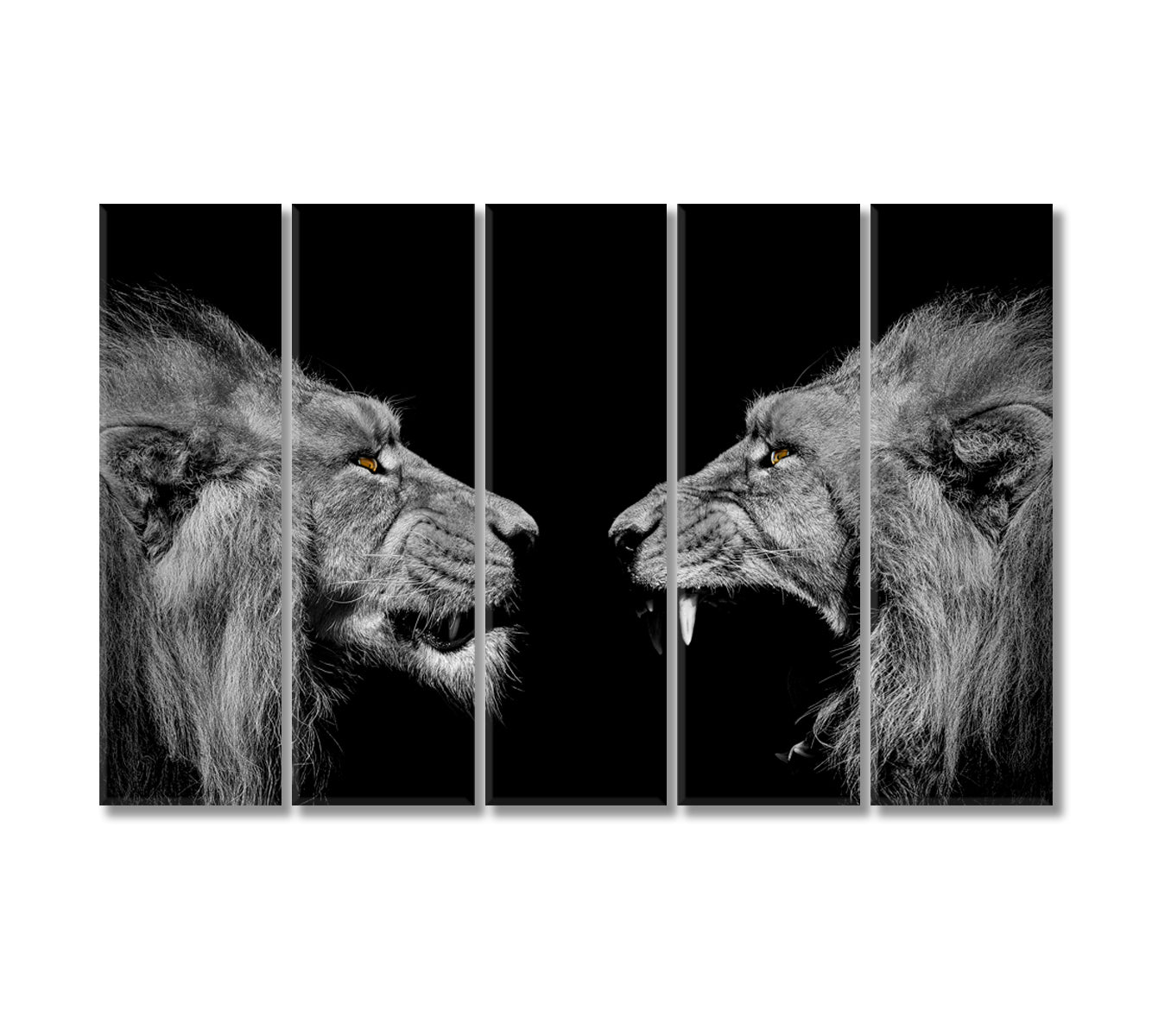 Lions Black and White Canvas Print-Canvas Print-CetArt-5 Panels-36x24 inches-CetArt