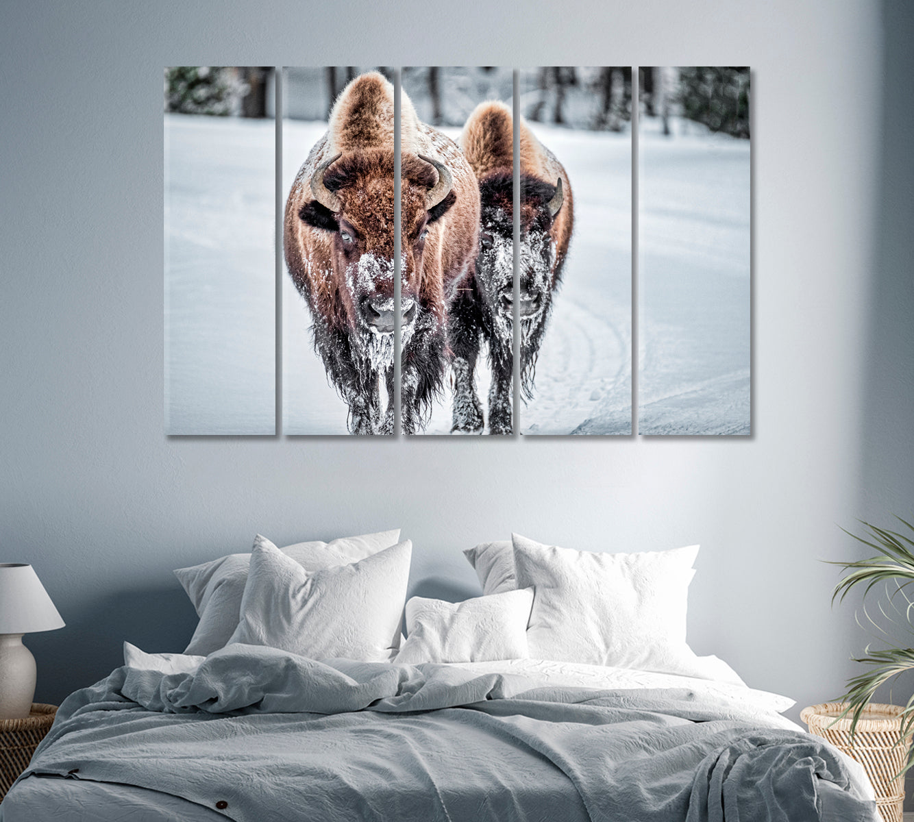 Bison in Winter Print Canvas Art-Canvas Print-CetArt-1 Panel-24x16 inches-CetArt
