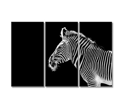 Zebra Black And White Wall Art-Canvas Print-CetArt-3 Panels-36x24 inches-CetArt