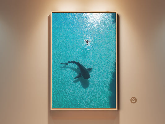 Coastal Ocean Wall Art featuring an aerial view of a whale shark and a swimmer in turquoise water. This wildlife canvas print captures the serene beauty of marine life. It makes a unique coastal artwork piece and a perfect housewarming ocean gift.