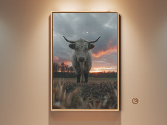 Rustic Highland cow canvas art print. This farmhouse sunset landscape artwork adds country charm to any room. Perfect as animal wall decor or a cozy housewarming gift. The soft grey cow stands out against an orange sky. A serene addition for nature and animal lovers.
