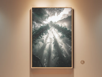 A stunning Teal Gray Green Nature Landscape Canvas print showcases a Biophilic forest with sunbeams. This misty trees artwork brings an atmospheric jungle vibe indoors. Perfect as calming wall decor for a bedroom or a unique housewarming gift for nature enthusiasts.