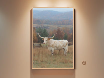 Framed fine art print of a Longhorn in a field. The artwork is a scenic landscape. It features a white Longhorn with very long horns. The background shows fall colors and a light dusting of snow. Perfect for western art lovers.
