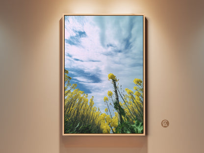 Impressionistic yellow canola field art print in a wood frame. This artwork features blooming yellow flowers under a blue sky. A perfect piece of boho spring landscape canvas for residential wall art. This art makes a thoughtful gift for garden lovers. Add natural beauty to your home with this vibrant floral print.