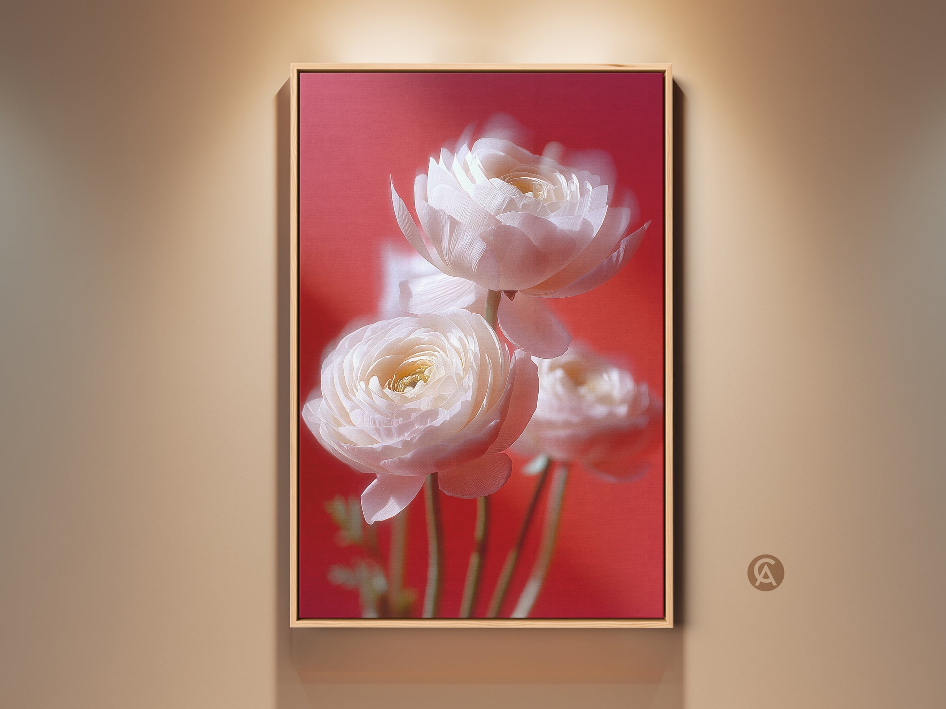 Framed soft focus flower print showcases delicate white ranunculus against a coral pink background. A beautiful botanical photography wall art for your entryway. This floral artwork adds a touch of natural elegance to your contemporary home decor. An ideal anniversary gift or present for garden lovers.