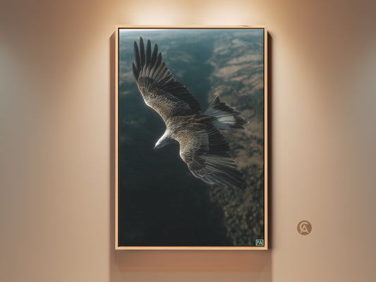 Realistic eagle in flight canvas print. This wildlife artwork shows its wings against a blurred natural backdrop. A perfect addition to a bedroom or home office. Bird art fits with modern rustic decor. It is a thoughtful gift for bird watchers.
