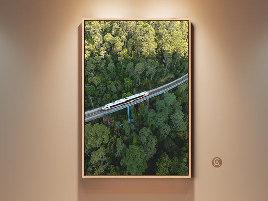Aerial forest train art print showcases modern green landscape canvas. This transportation photography captures nature wall decor. Ideal travel gift for art lovers. Contemporary artwork featuring a railway bridge over lush greenery. A unique overhead forest view perfect for any space.