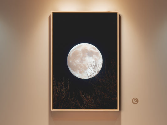 A captivating full moon art print. The artwork is displayed in a wood frame. The moon is a pale color against a deep black sky. Silhouetted branches add depth. Purchase moon art for your home.