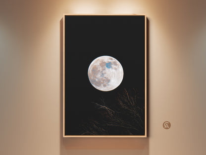 Framed moon art print. This wall art features a full moon against a black sky. Branches are silhouetted at the bottom. The artwork is displayed in a natural wood frame. Shop framed moon art for your home.