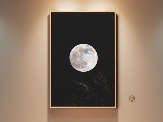 Framed moon art print. This wall art features a full moon against a black sky. Branches are silhouetted at the bottom. The artwork is displayed in a natural wood frame. Shop framed moon art for your home.