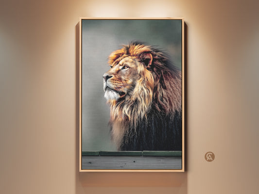 Framed golden brown lion art print displayed in a neutral room. This majestic wildlife canvas showcases a photorealistic animal. The artwork creates a contemporary home gift and focal point.