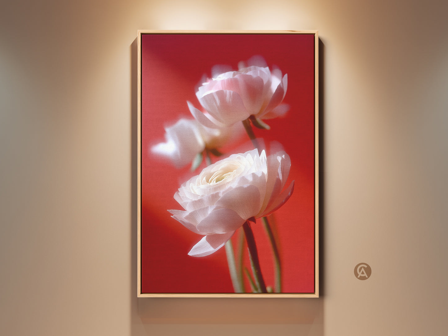 Framed ranunculus flower art on display. The artwork features soft white flowers against a vibrant red backdrop. This floral art piece adds elegance to any room. Perfect as a focal point in home decor.