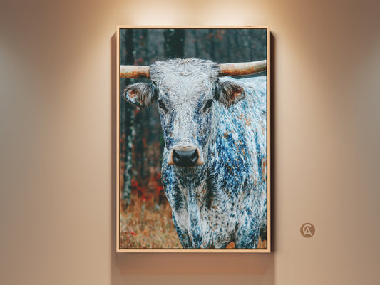 Close-up of a Texas Longhorn in a frame. The animal's white coat is speckled with blue. Its horns are long and tan. This artwork captures the essence of the American West. Perfect for rustic or modern interiors.