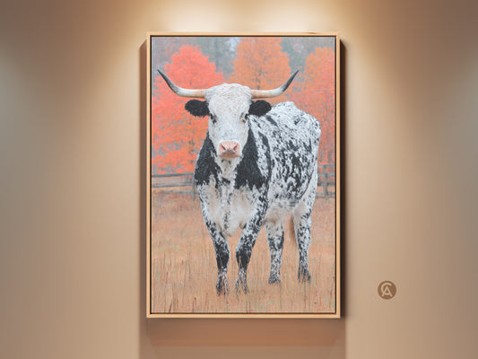 Explore Longhorn Cow artwork. The framed art shows a black and white speckled Longhorn. The majestic animal stands in a field. Behind it are autumn colored trees. Get yours now