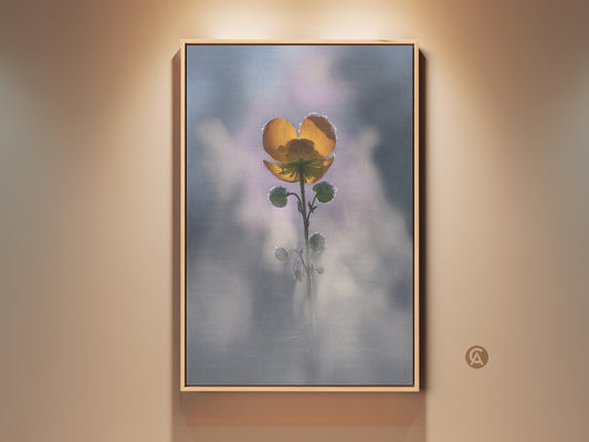 Framed yellow buttercup art print on a beige wall. Macro nature photography brings botanical beauty to any room. Soft focus artwork for a boho bedroom or a thoughtful gift for plant lovers. The frame enhances the delicate floral art.